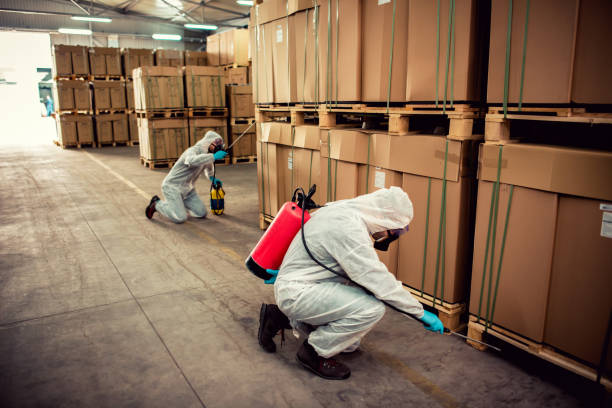 Best Bed Bug Extermination  in Oakley, CA