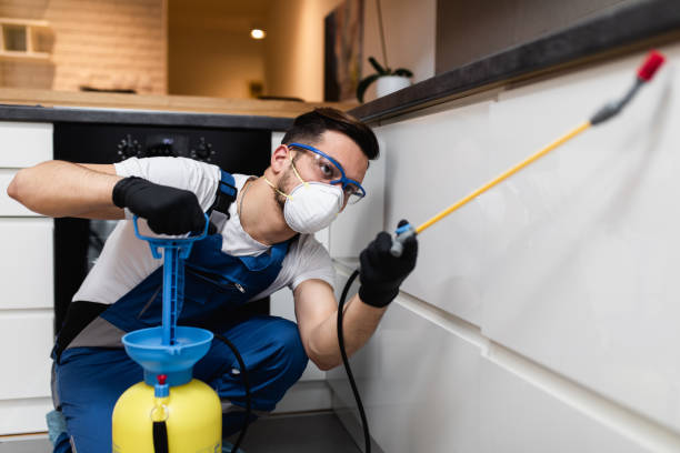 Best Termite Control Services  in Oakley, CA