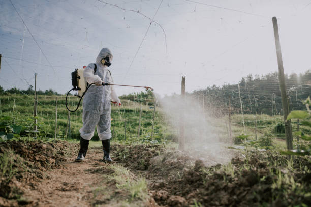 Best Ant Control Services  in Oakley, CA