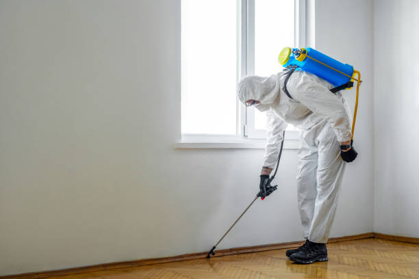 Best Mosquito Control Services  in Oakley, CA