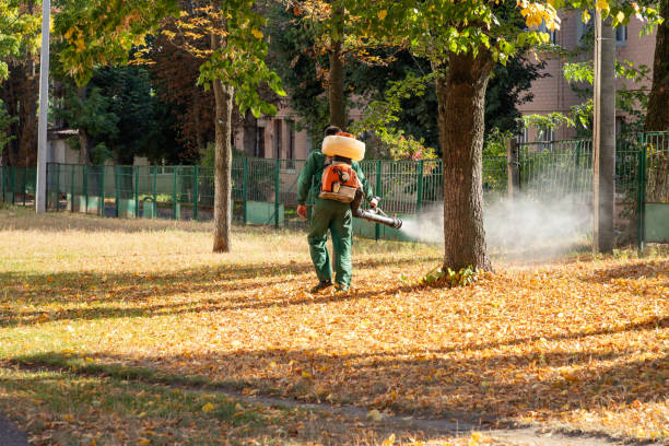 Best Rat Extermination Near Me  in Oakley, CA