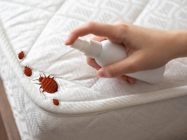 Pest Control Cost in Oakley, CA