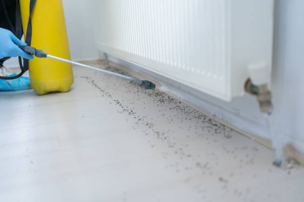 Best Emergency Pest Control  in Oakley, CA